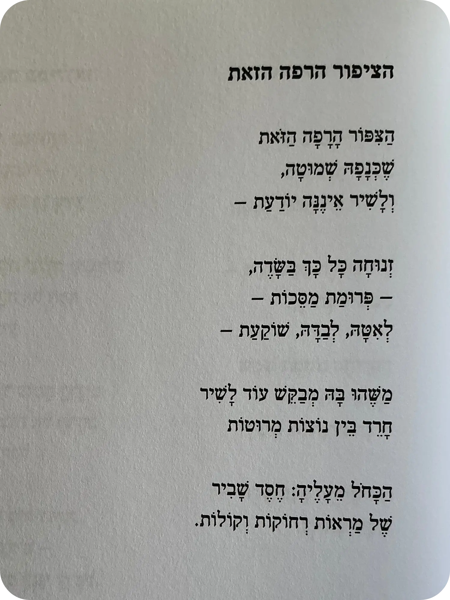 הציפור הרפה הזאת