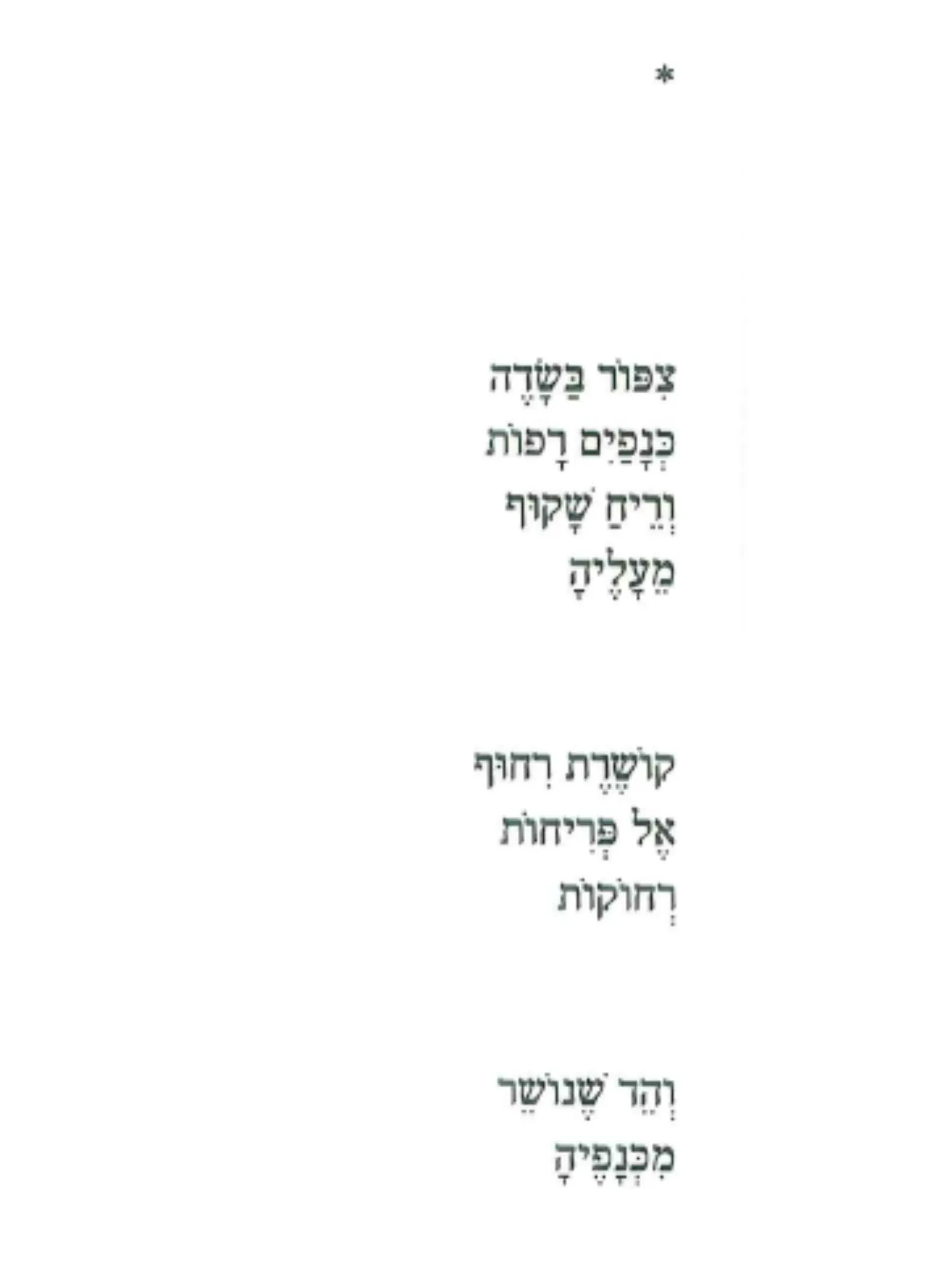 ציפור בשדה