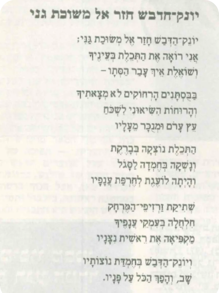 יונק-הדבש חזר אל משוכת גני